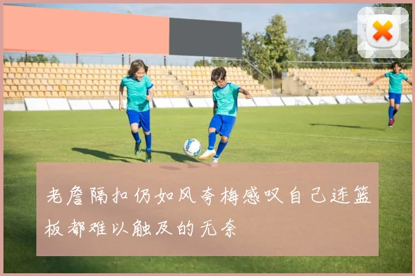 老詹隔扣仍如风夸梅感叹自己连篮板都难以触及的无奈